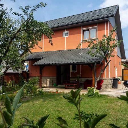 Generous Family Home Vişeu de Sus Extérieur photo