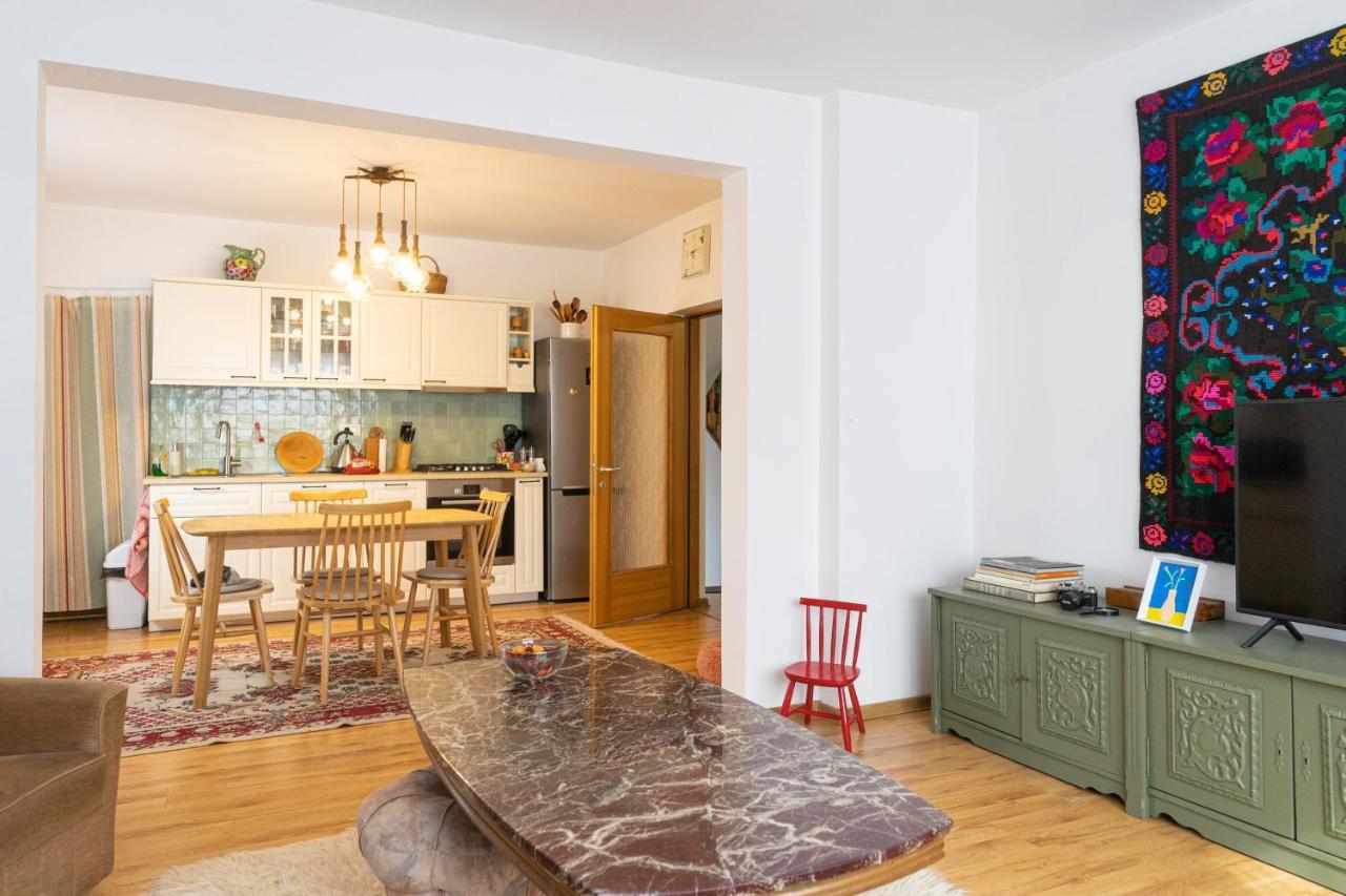 Generous Family Home Vişeu de Sus Extérieur photo
