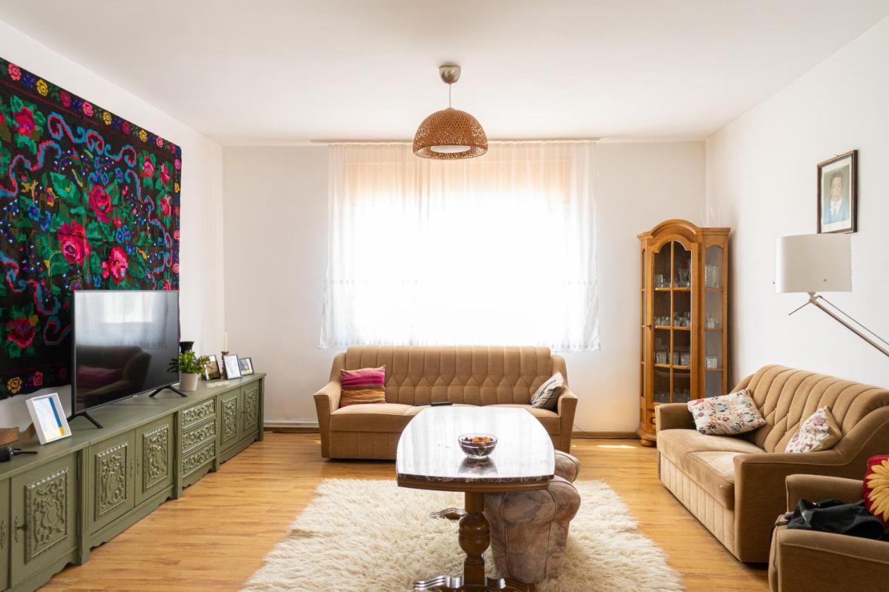 Generous Family Home Vişeu de Sus Extérieur photo