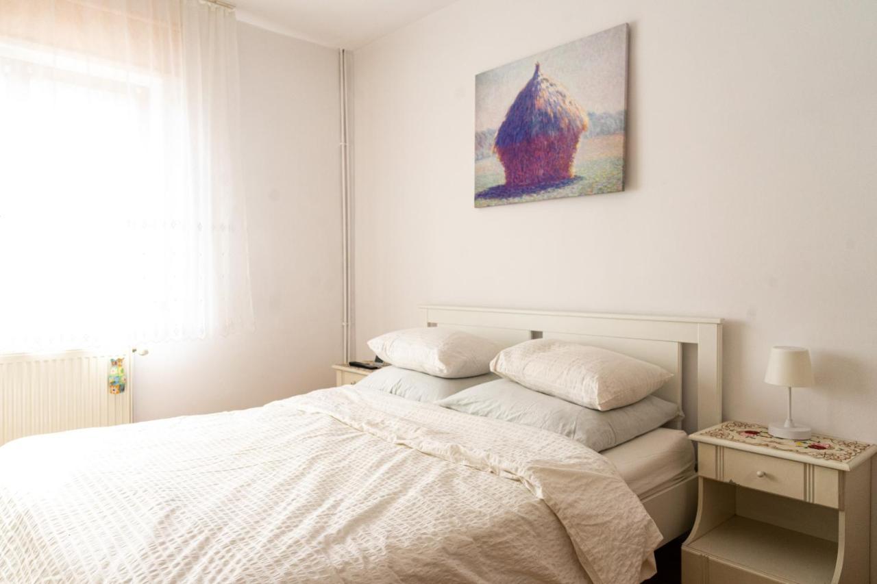 Generous Family Home Vişeu de Sus Extérieur photo