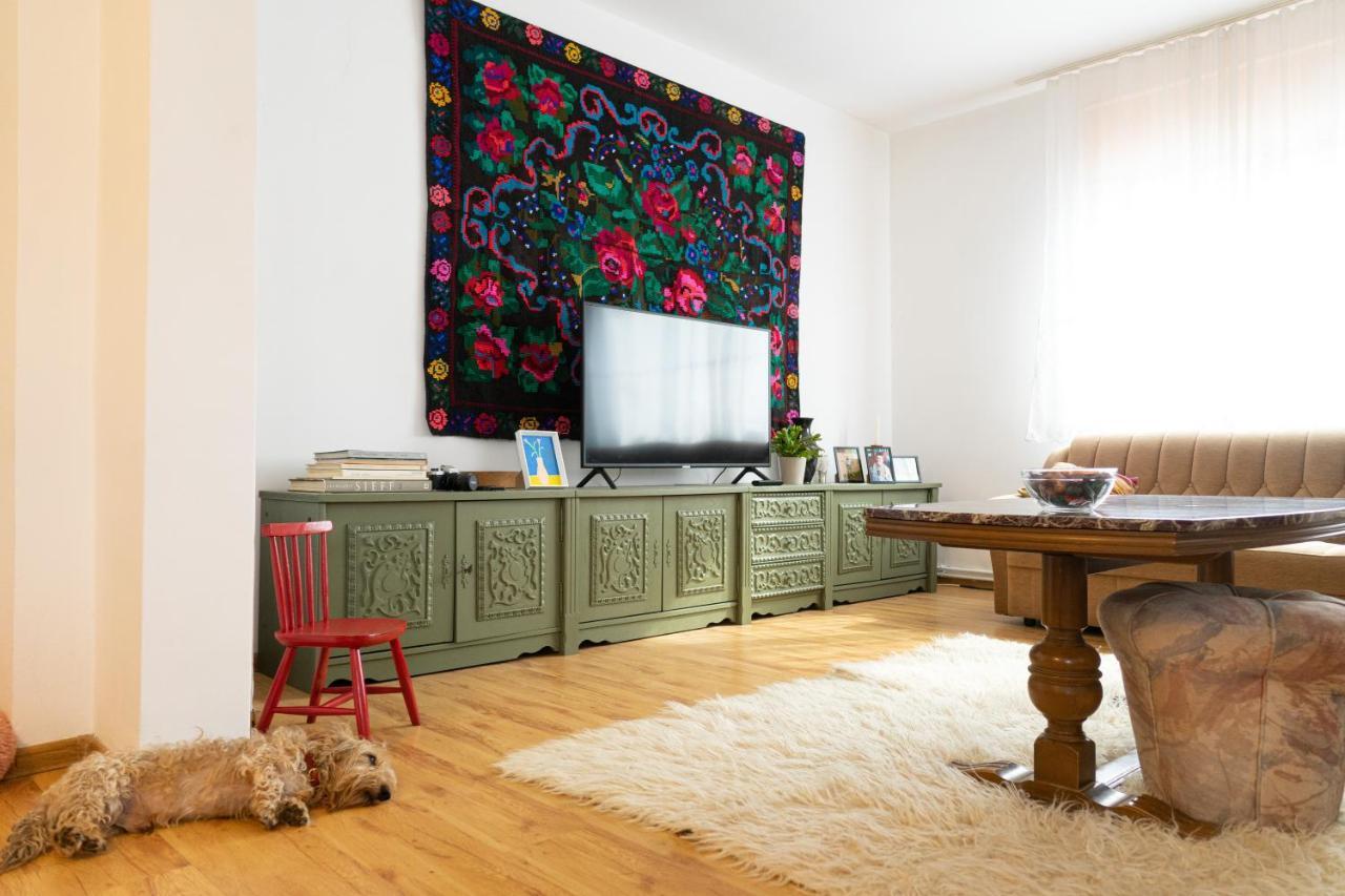 Generous Family Home Vişeu de Sus Extérieur photo